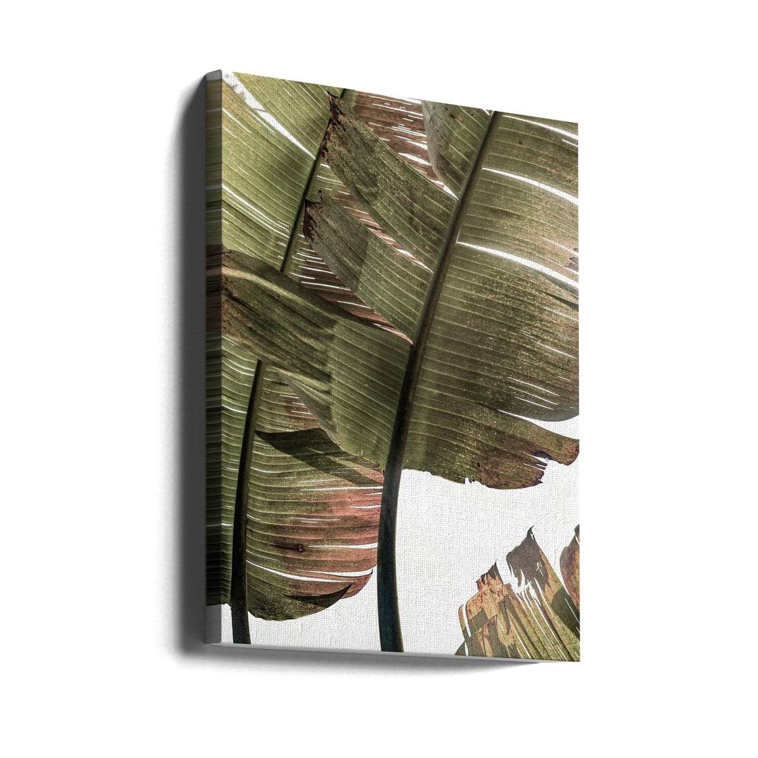 Gold Tropical Leaf by Shot By Clint | Exotic Botanical Palm, Large Canvas Wall Art Print | Artsy Earth