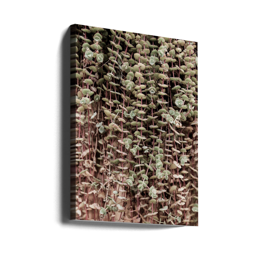 Hanging Garden by Shot By Clint | Botanical Leaf Pattern, Large Canvas Wall Art Print | Artsy Earth