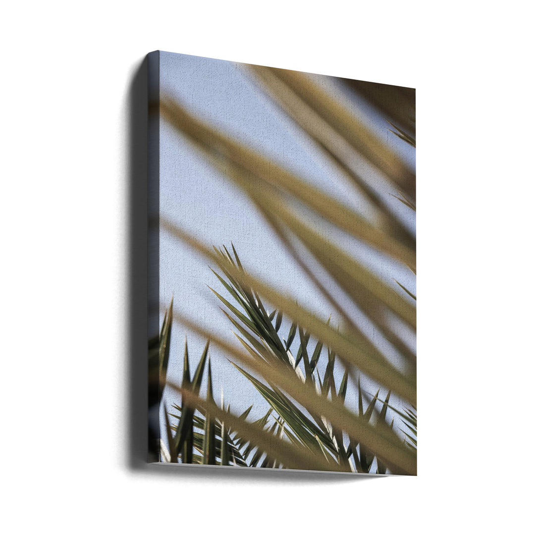 Hidden Palm Leaf by Shot By Clint | Tropical Palm Closeup, Large Canvas Wall Art Print | Artsy Earth