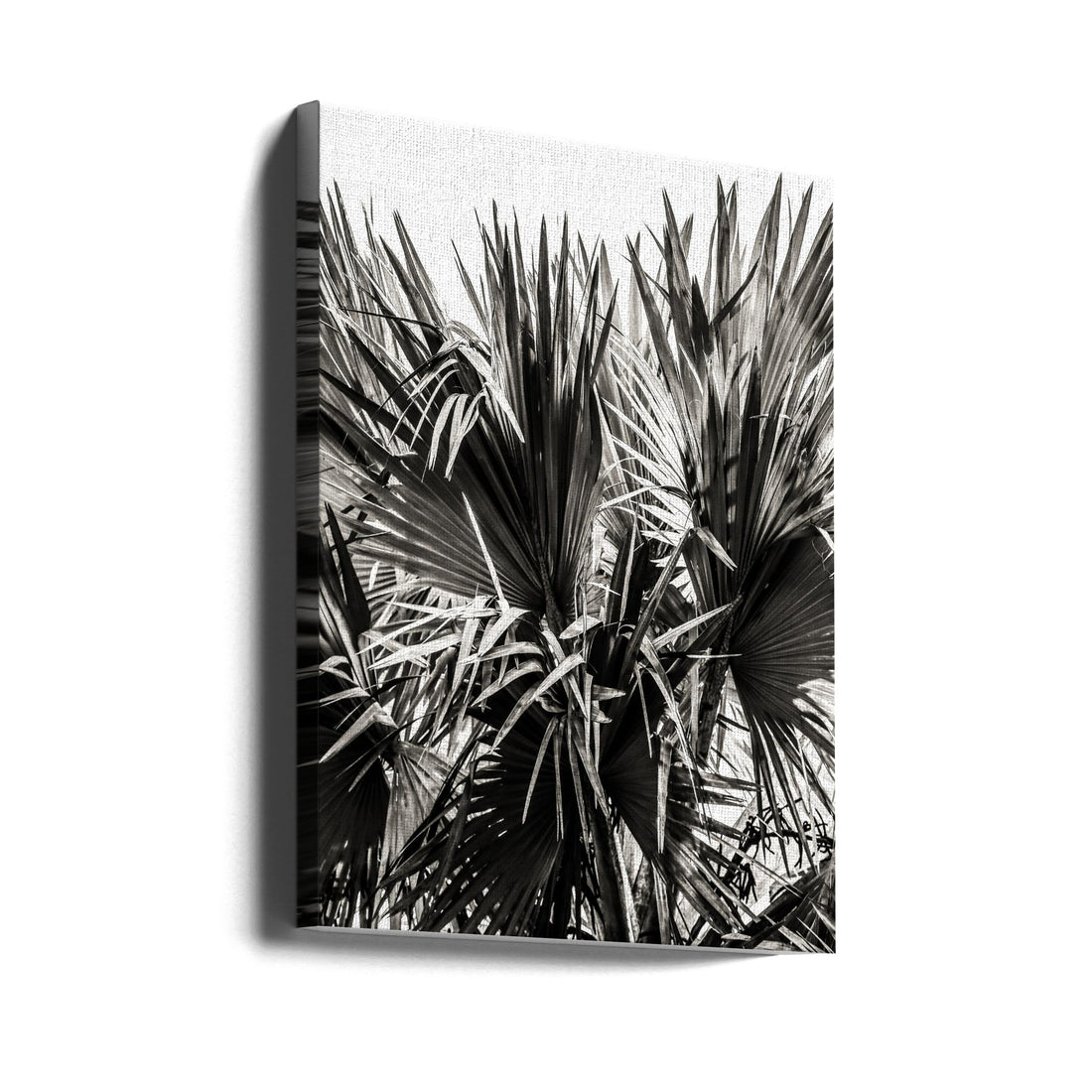 Palm Tree Closeup by Shot By Clint | Tropical Palm Botanical, Large Canvas Wall Art Print | Artsy Earth