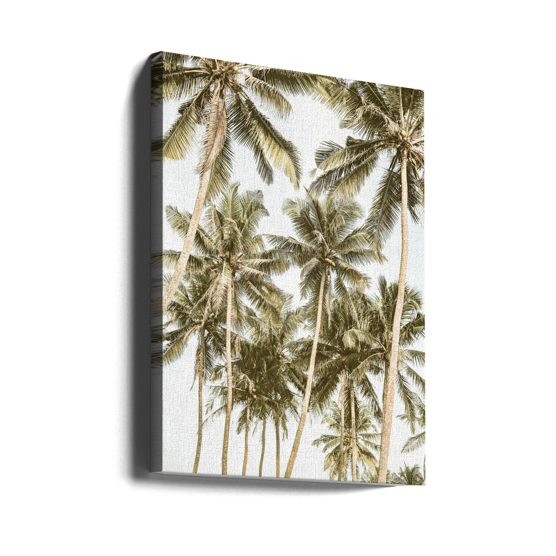 Island Bliss by Shot By Clint | Tropical Palm Landscape, Large Canvas Wall Art Print | Artsy Earth