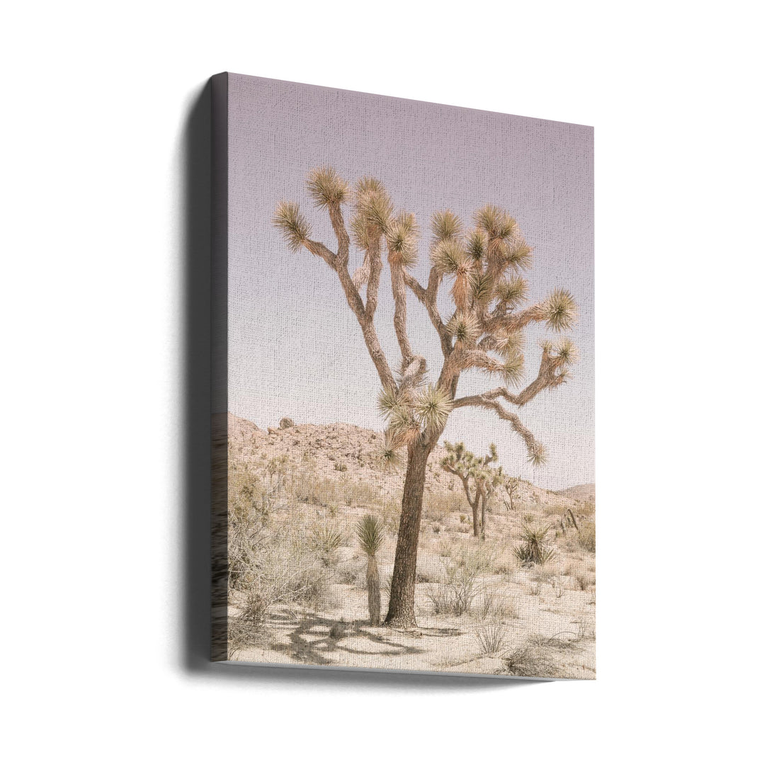 Joshua Tree by Shot By Clint | Desert Landscape Tranquility, Large Canvas Wall Art Print | Artsy Earth