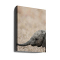 African Elephant by Shot By Clint | Wildlife Safari Nature, Large Canvas Wall Art Print | Artsy Earth