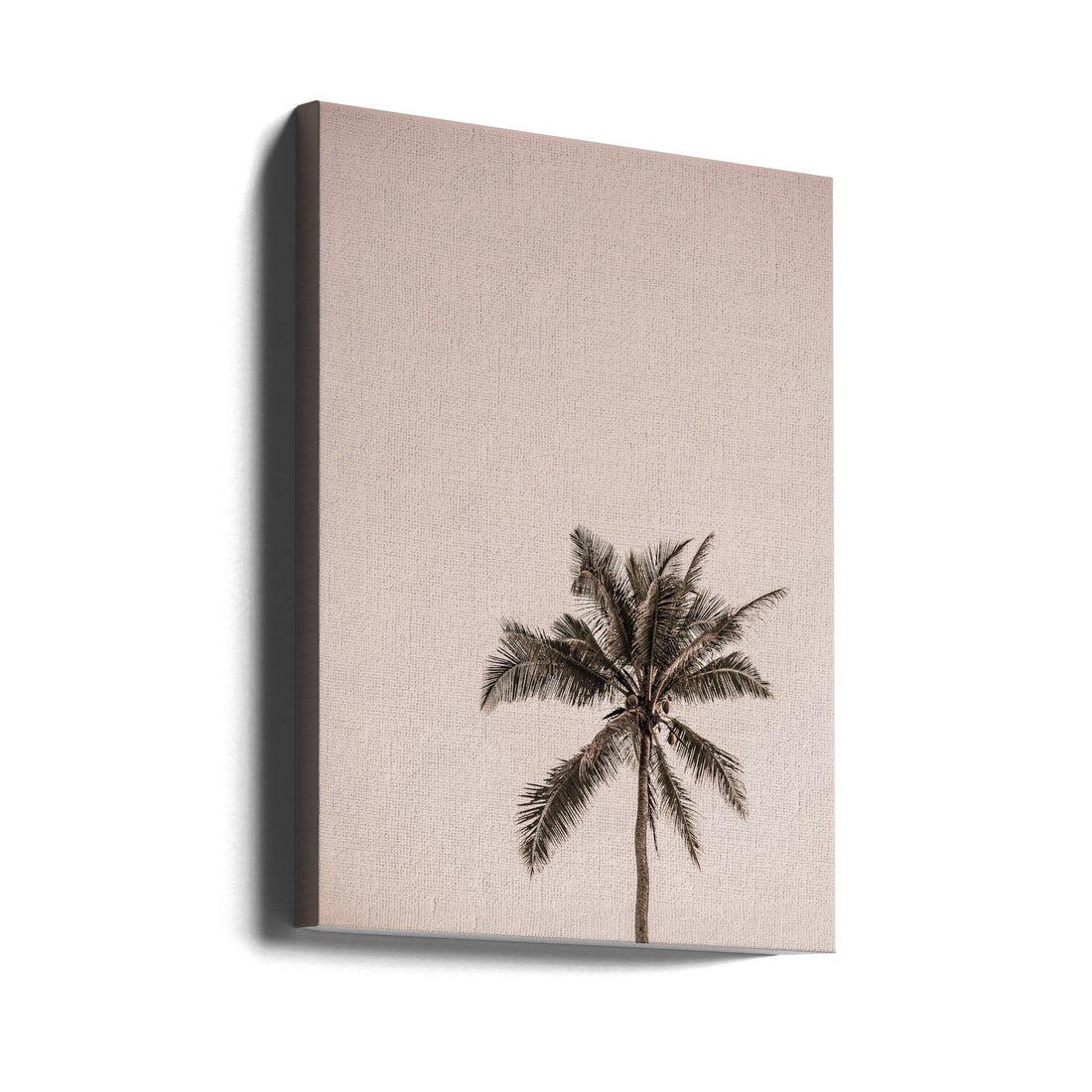 Peaceful Palm Tree by Shot By Clint | Tropical Palm Landscape, Large Canvas Wall Art Print | Artsy Earth