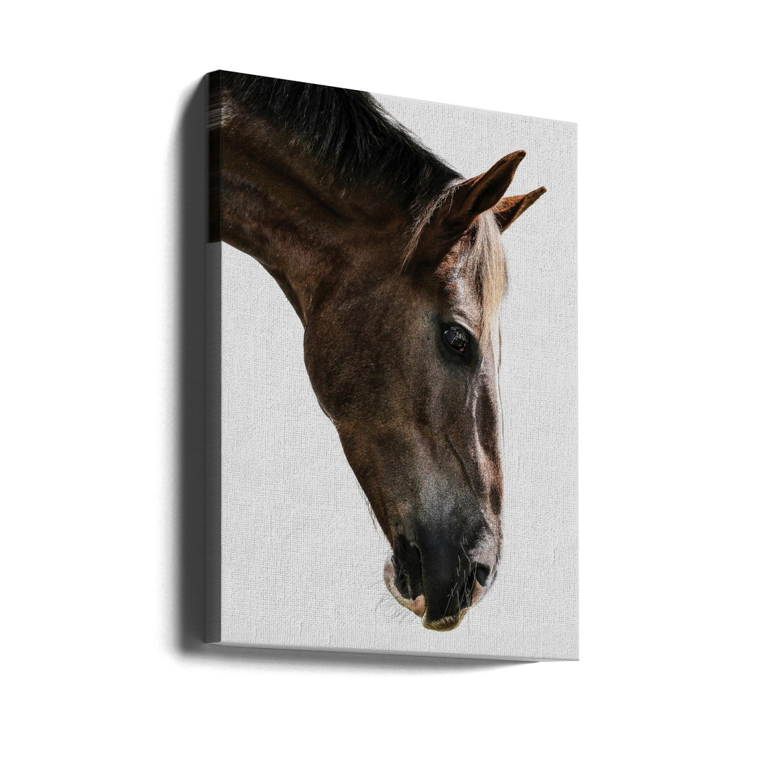 Brown Horse Portrait by Shot By Clint | Horse Close-up Animal, Large Canvas Wall Art Print | Artsy Earth