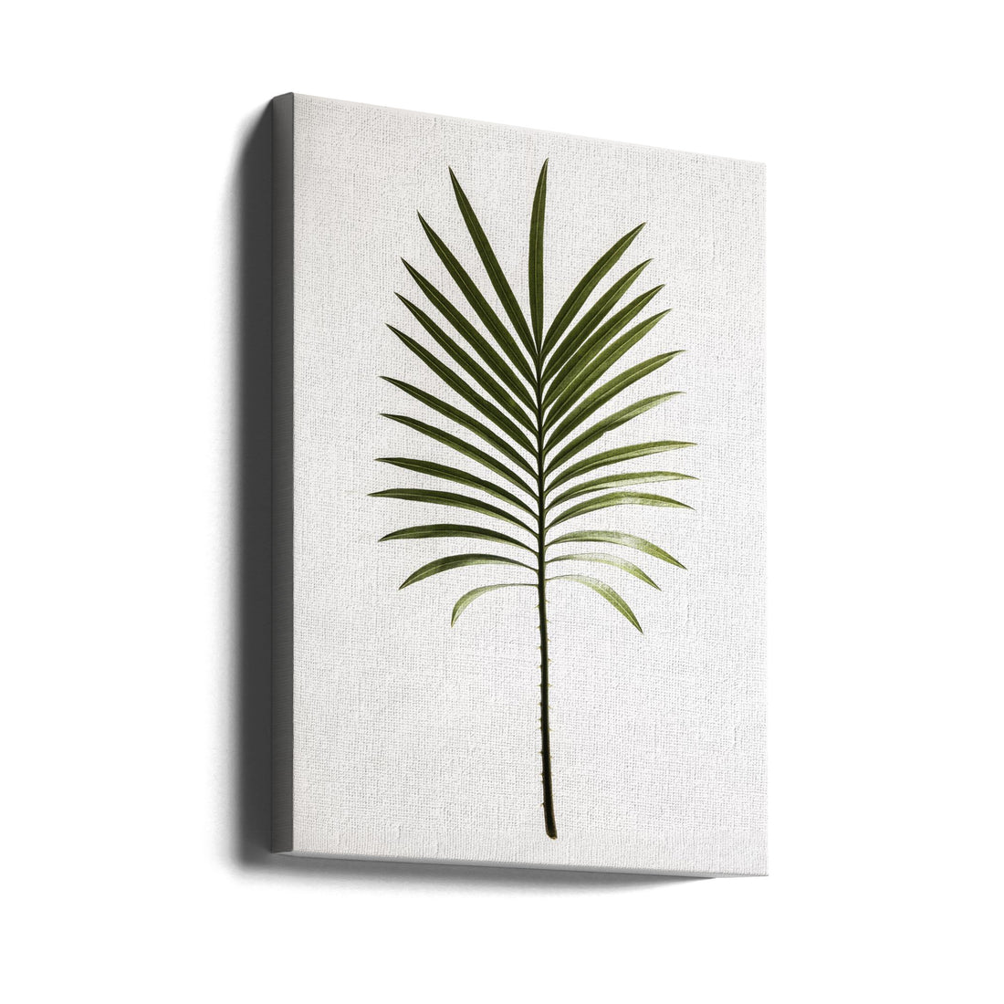 Leaf Study 04 by Shot By Clint | Tropical Palm Botanical, Large Canvas Wall Art Print | Artsy Earth