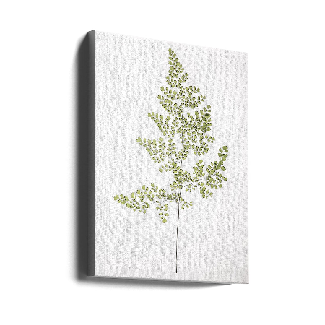 Leaf Study 06 by Shot By Clint | Botanical Plant Study, Large Canvas Wall Art Print | Artsy Earth