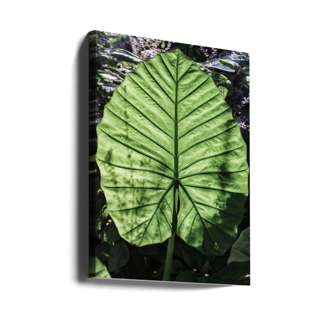 Fresh Green Leaf by Shot By Clint | Botanical Nature Close-up, Large Canvas Wall Art Print | Artsy Earth