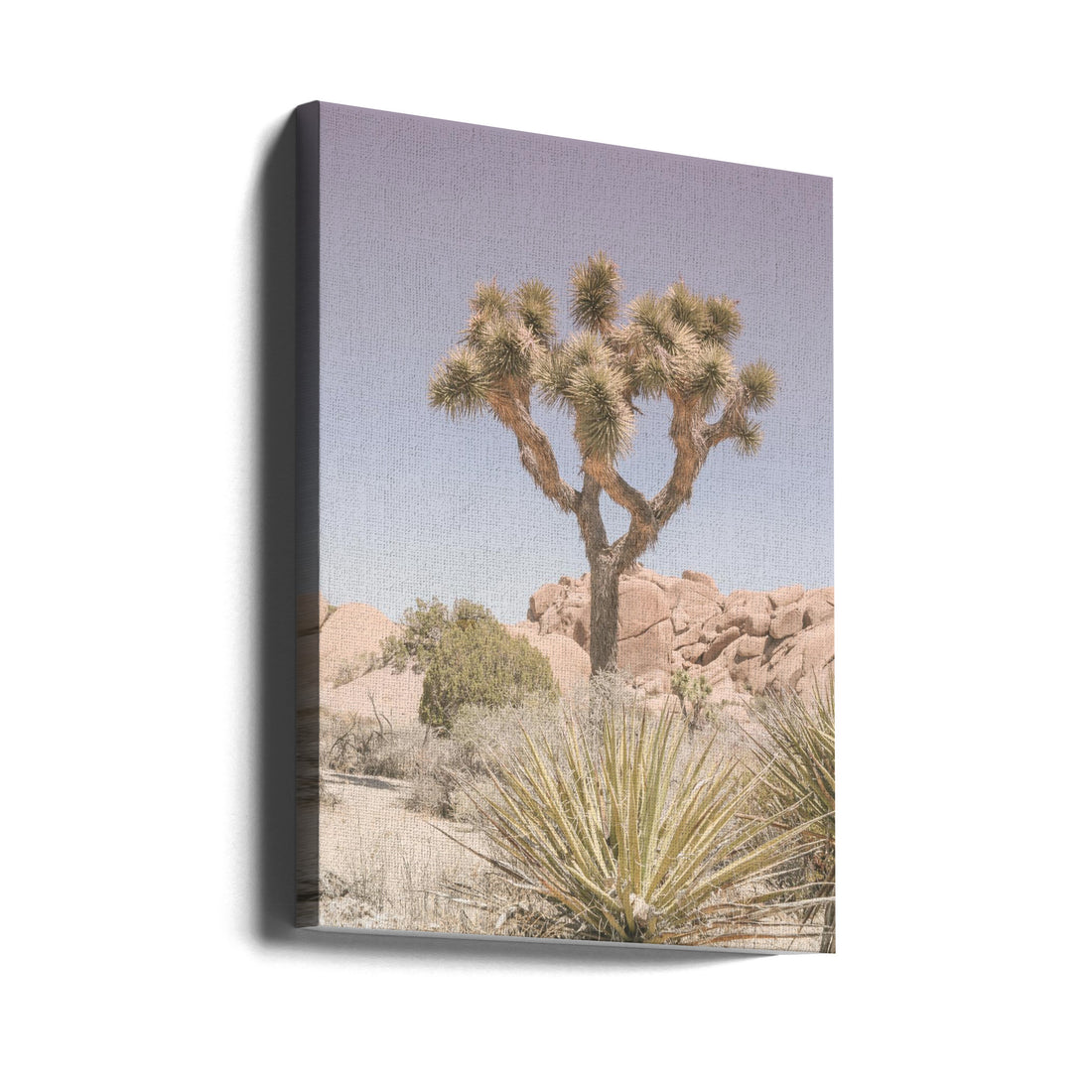 Mojave Desert by Shot By Clint | Desert Landscape Serenity, Large Canvas Wall Art Print | Artsy Earth