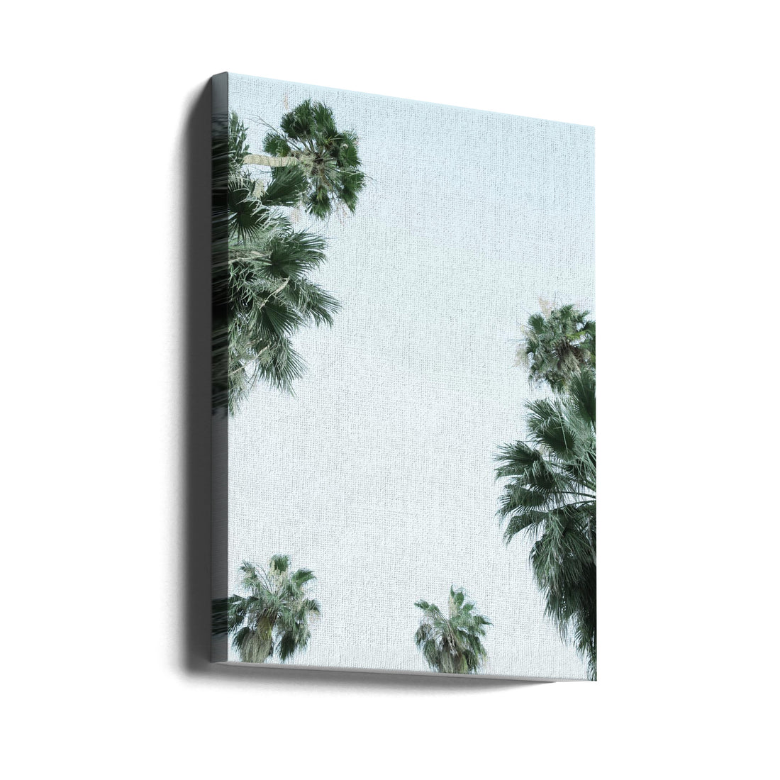 My Mint Moment 02 by Shot By Clint | Tropical Palm Tranquility, Large Canvas Wall Art Print | Artsy Earth