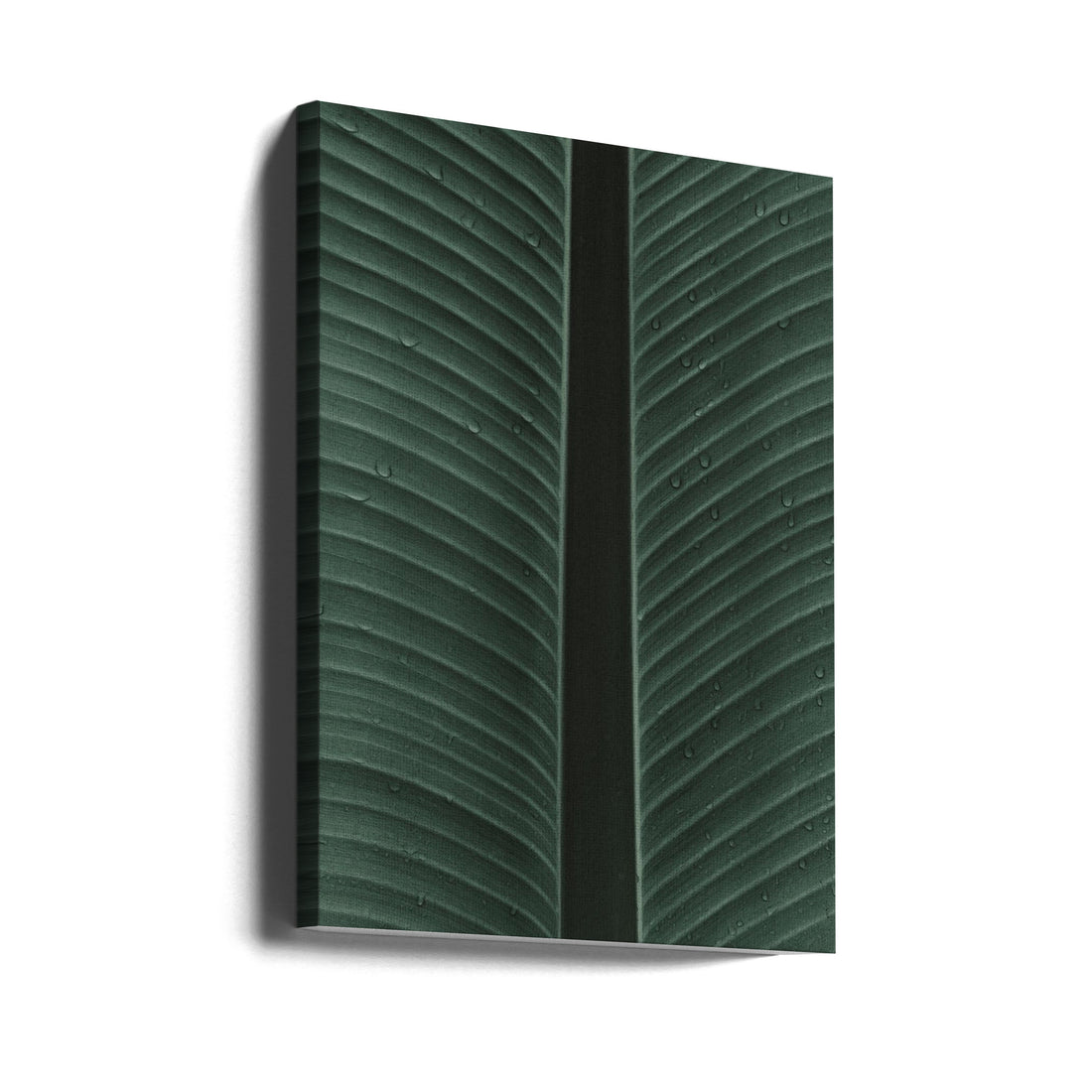 My Mint Moment 12 by Shot By Clint | Green Botanical Leaf, Large Canvas Wall Art Print | Artsy Earth