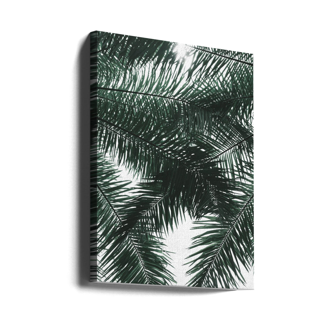 Tropical Palm Leaf by Shot By Clint | Botanical Palm Close-up, Large Canvas Wall Art Print | Artsy Earth