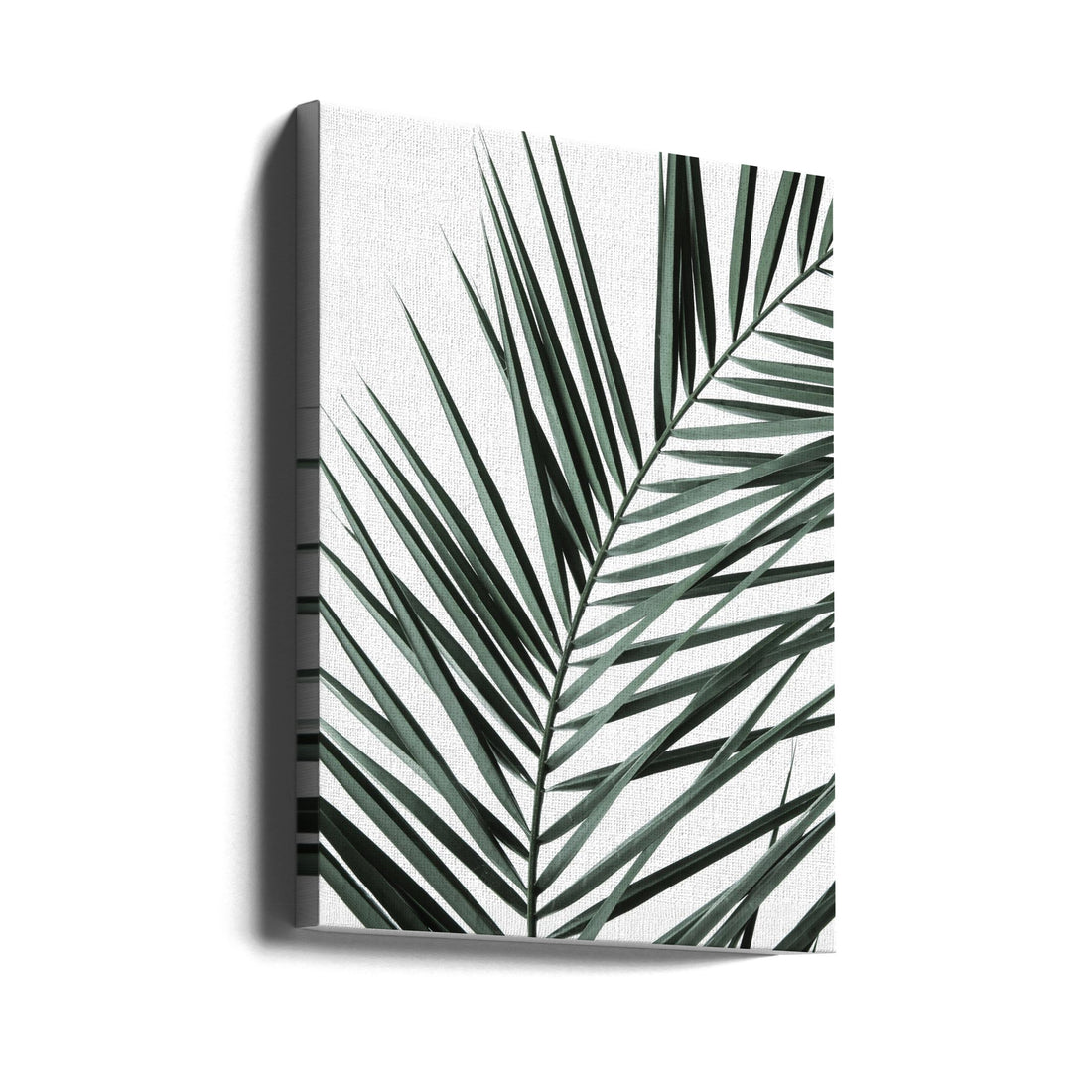 Tropical Palm Leaf by Shot By Clint | Botanical Palm Close-up, Large Canvas Wall Art Print | Artsy Earth