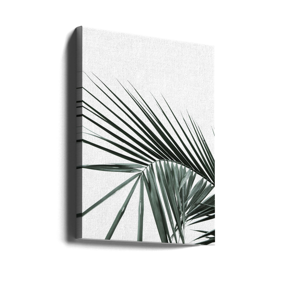 Tropical Palm Leaf by Shot By Clint | Botanical Palm Pattern, Large Canvas Wall Art Print | Artsy Earth