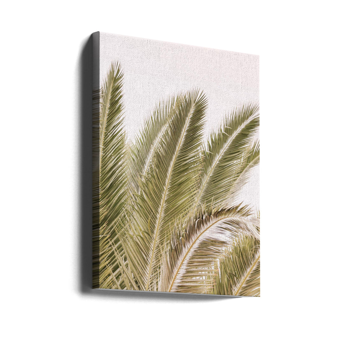 Oasis Palm by Shot By Clint | Tropical Palm Tree, Large Canvas Wall Art Print | Artsy Earth