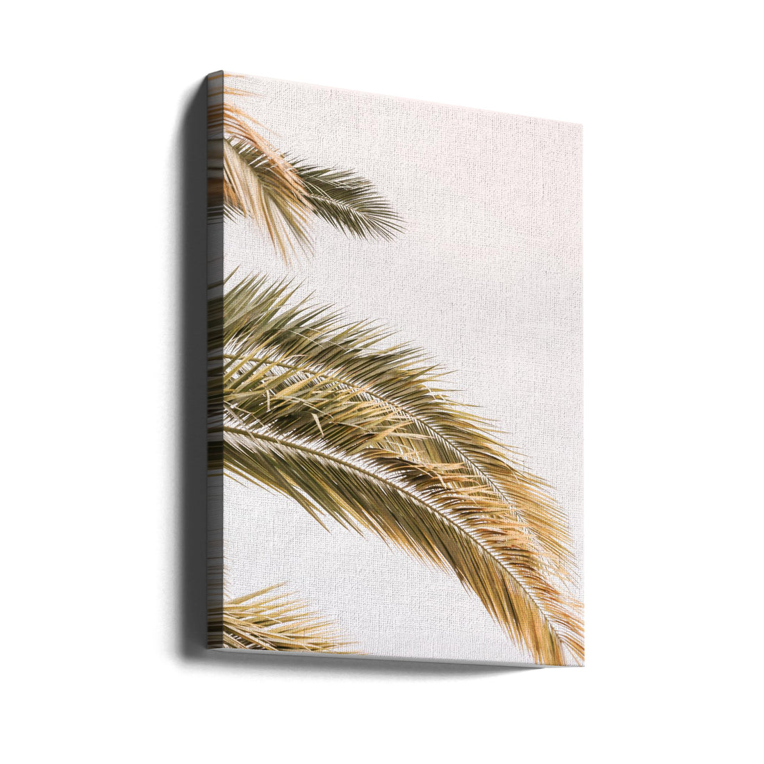 Tropical Palm Leaf by Shot By Clint | Bright Botanical Close-up, Large Canvas Wall Art Print | Artsy Earth