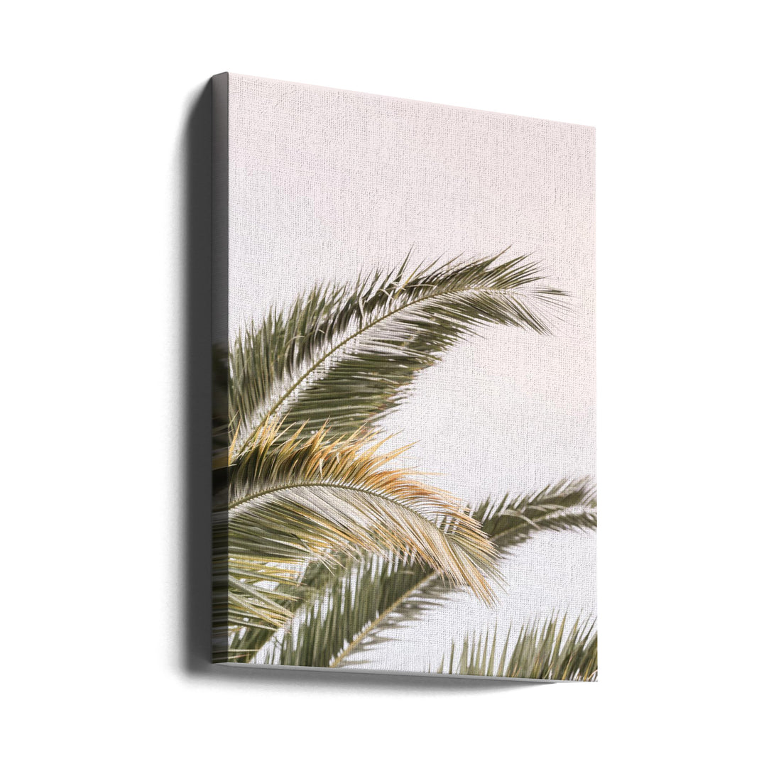 Oasis Palm by Shot By Clint | Tropical Palm Tree, Large Canvas Wall Art Print | Artsy Earth