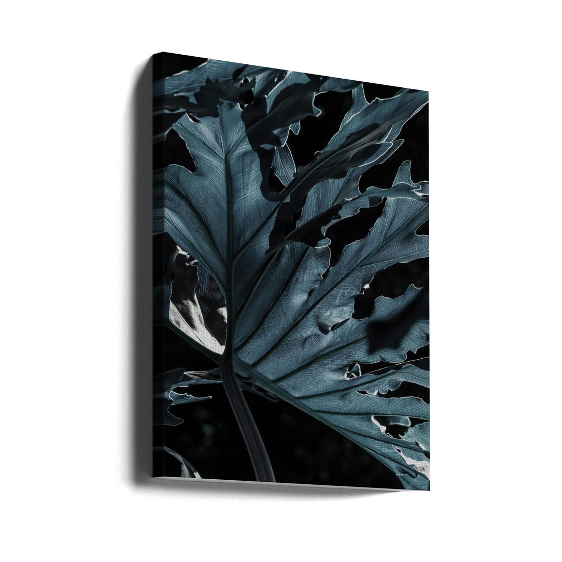 Pacific Monster by Shot By Clint | Dark Botanical Macro, Large Canvas Wall Art Print | Artsy Earth