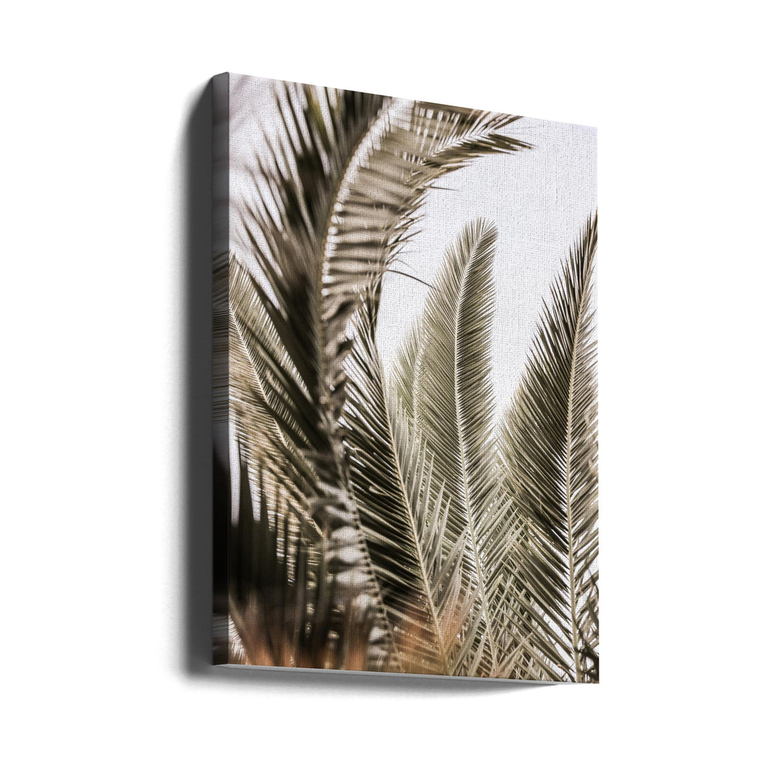 Palm Love by Shot By Clint | Tropical Palm Botanical, Large Canvas Wall Art Print | Artsy Earth