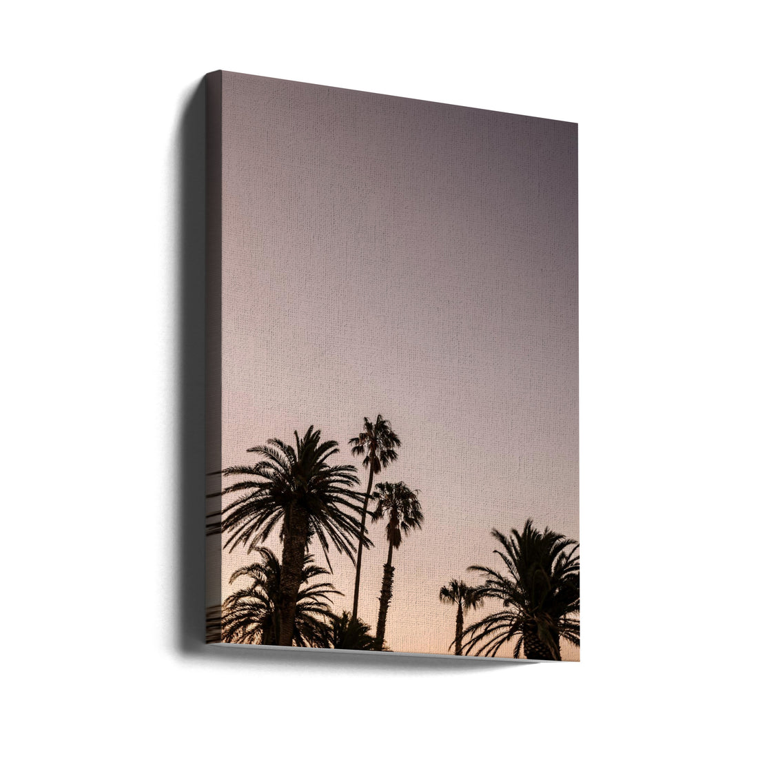 Palm Point by Shot By Clint | Tropical Palm Landscape, Large Canvas Wall Art Print | Artsy Earth