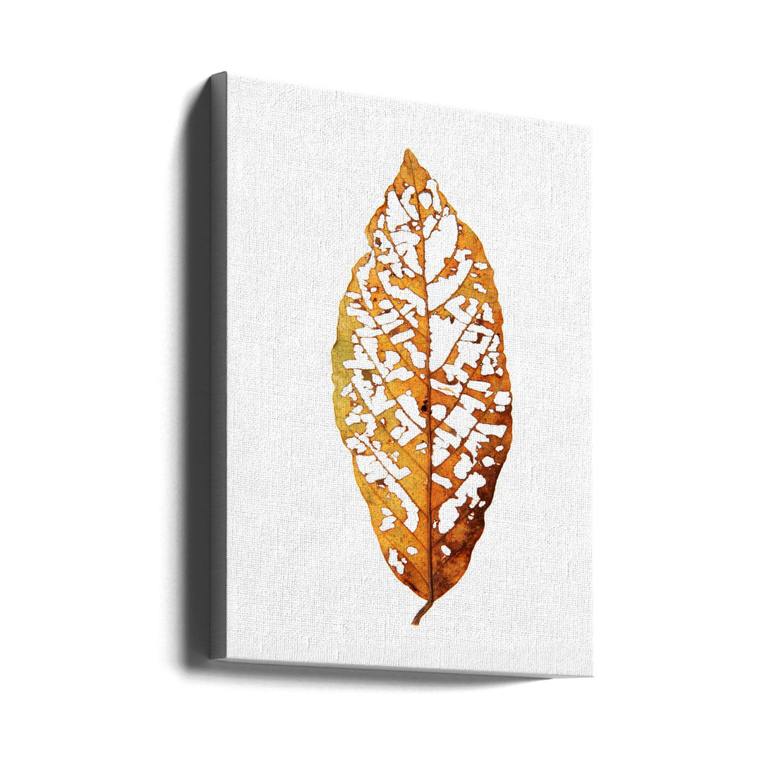 Rainforest Leaf by Shot By Clint | White Background Leaf, Large Canvas Wall Art Print | Artsy Earth