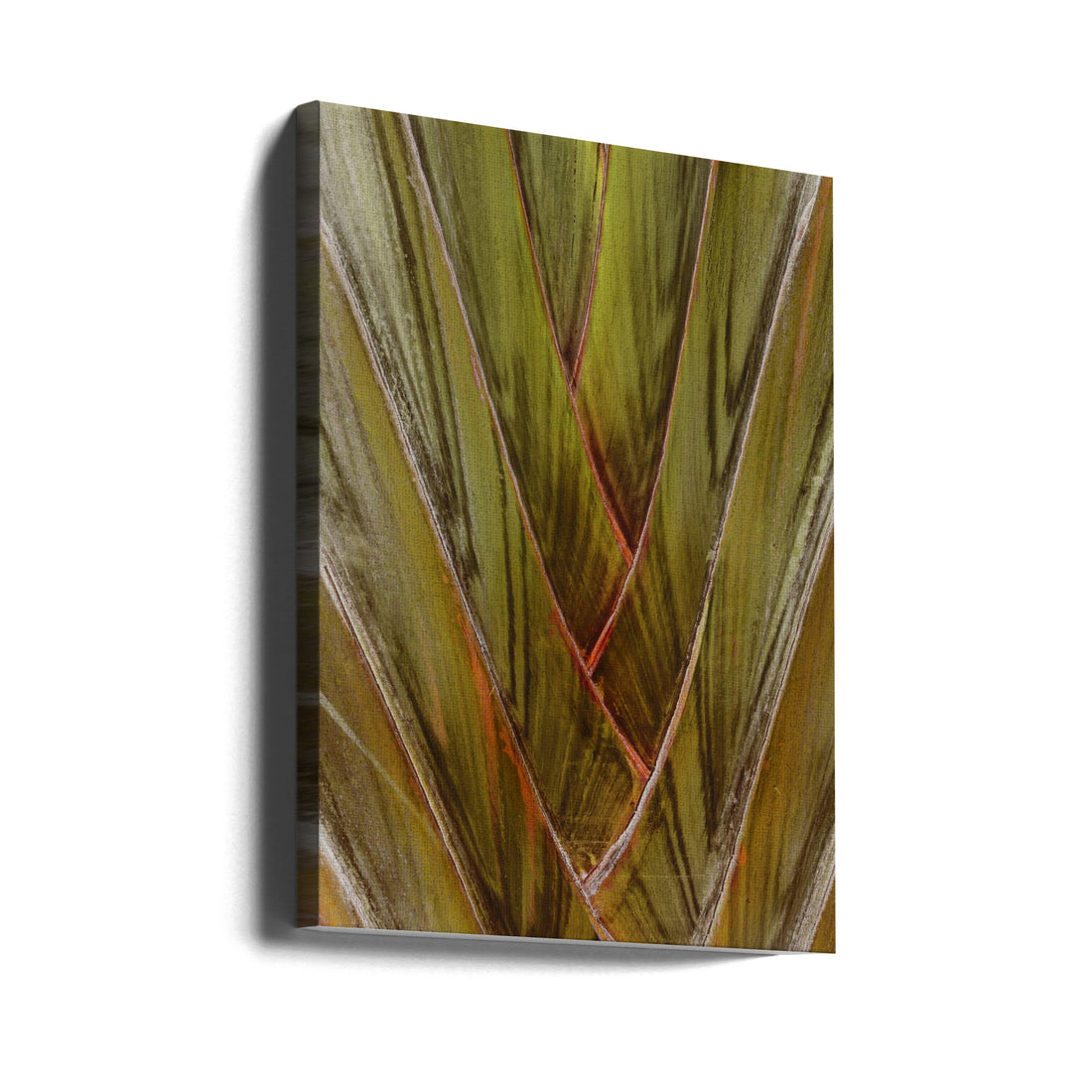 Tropical Palm Leaf by Shot By Clint | Exotic Botanical Pattern, Large Canvas Wall Art Print | Artsy Earth