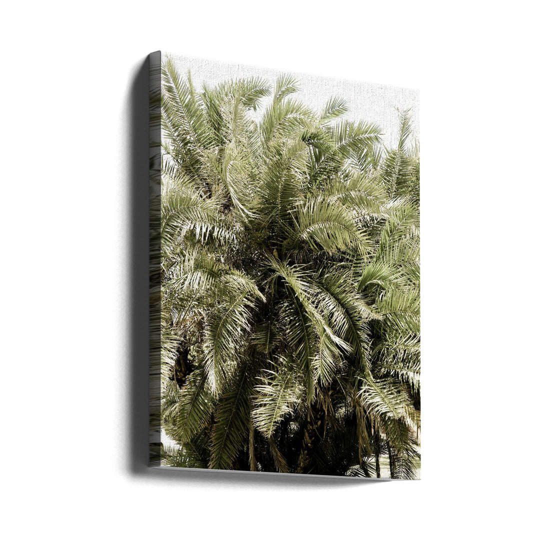 Sea Breeze No2 by Shot By Clint | Tropical Palm Landscape, Large Canvas Wall Art Print | Artsy Earth