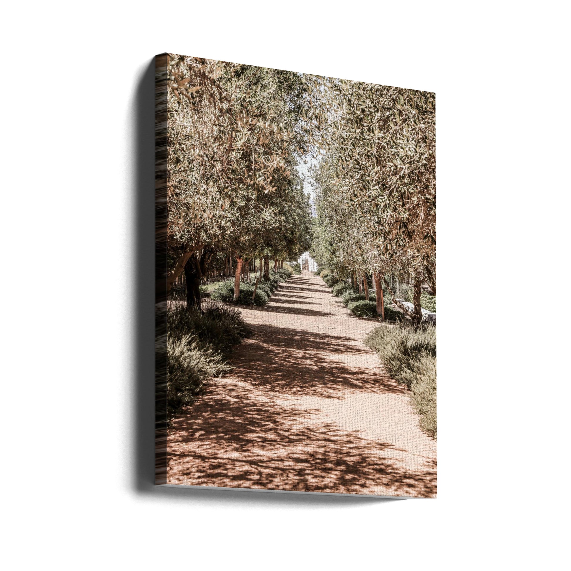 Secret Garden by Shot By Clint | Tranquil Garden Path, Large Canvas Wall Art Print | Artsy Earth