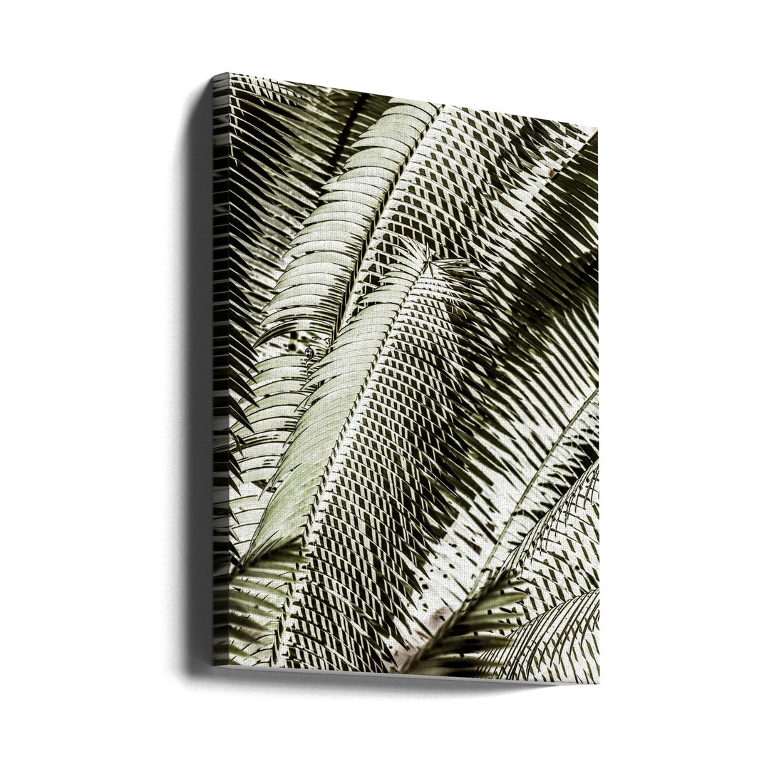 Shadow Dancing by Shot By Clint | Tropical Palm Leaves, Large Canvas Wall Art Print | Artsy Earth