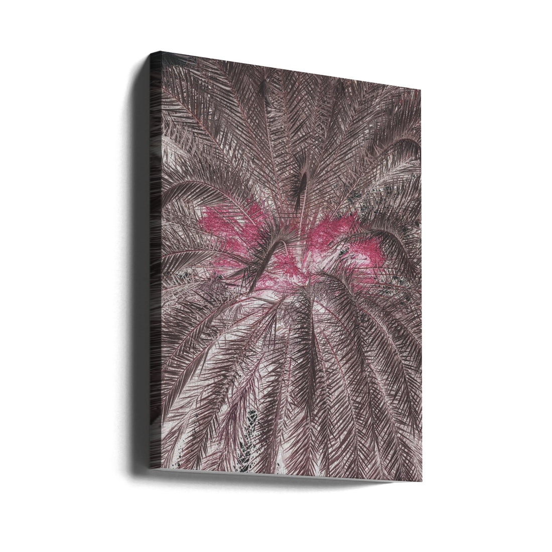 Tropical Palm Art by Shot By Clint | Pink Botanical Pattern, Large Canvas Wall Art Print | Artsy Earth