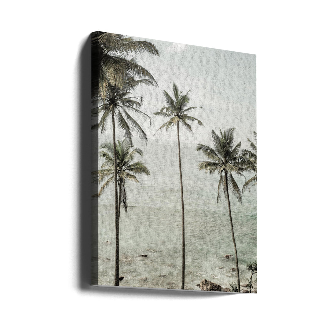 Tropical Dreams by Shot By Clint | Peaceful Palm Beach, Large Canvas Wall Art Print | Artsy Earth