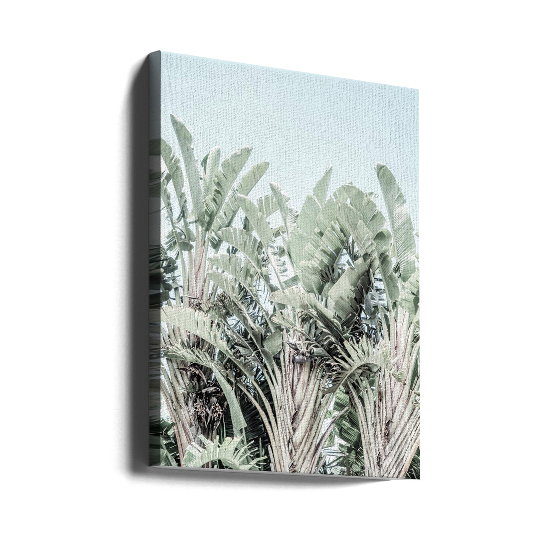 Tropicana by Shot By Clint | Tropical Palm Trees, Large Canvas Wall Art Print | Artsy Earth