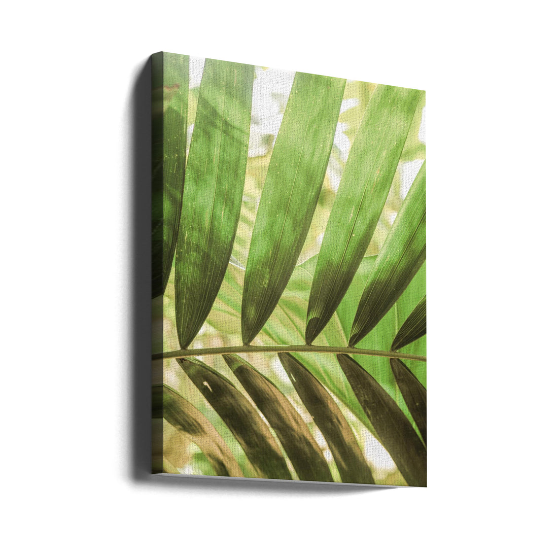 Village Jungle by Shot By Clint | Tropical Palm Leaves, Large Canvas Wall Art Print | Artsy Earth