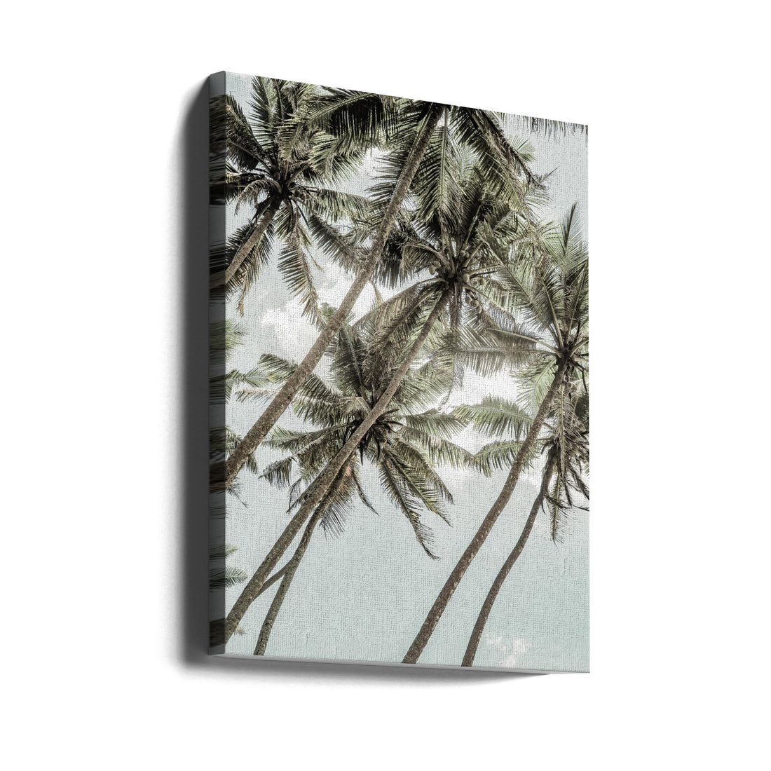 Wild Love by Shot By Clint | Tropical Palm Landscape, Large Canvas Wall Art Print | Artsy Earth