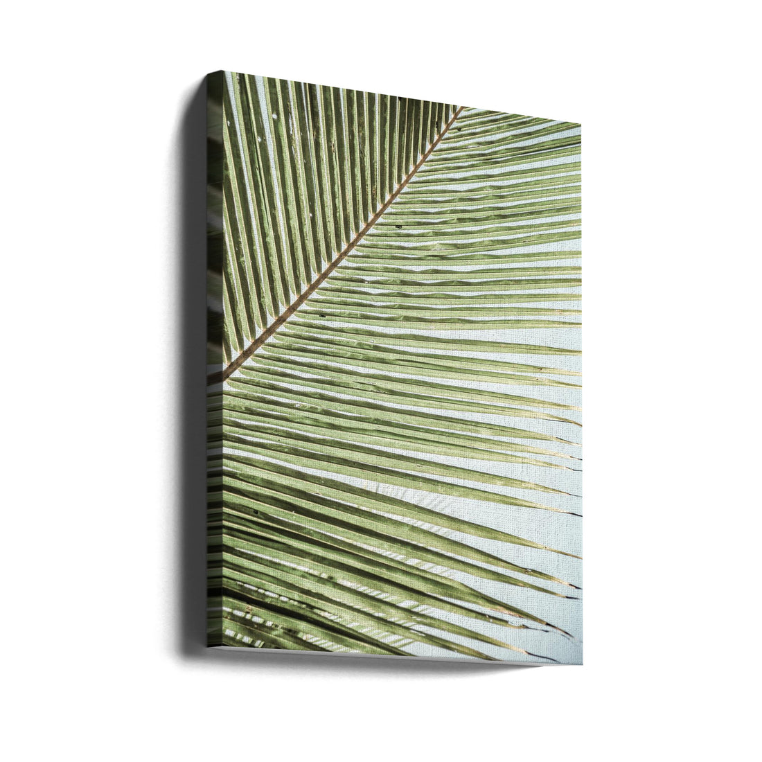 Tropical Palm Pattern by Shot By Clint | Abstract Palm Texture, Large Canvas Wall Art Print | Artsy Earth