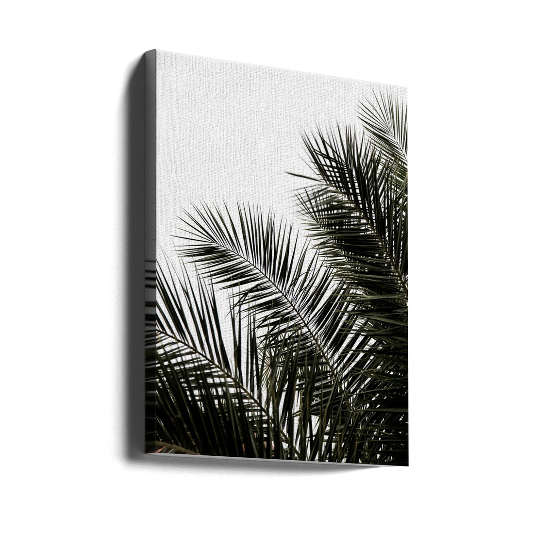 Palm Leaves 3 by Mareike Böhmer | Tropical Botanical Photography, Large Canvas Wall Art Print | Artsy Earth