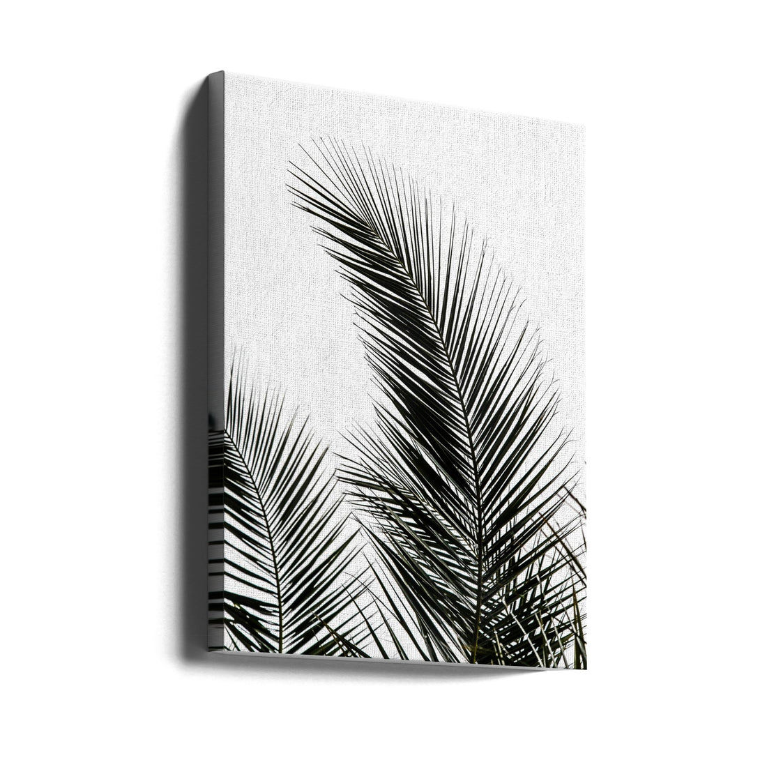 Palm Leaves by Mareike Böhmer | Minimal Botanical Photography, Large Canvas Wall Art Print | Artsy Earth