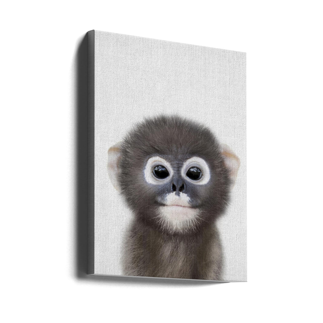 Peekaboo Baby Monkey by Lola Peacock | Cute Animal Portrait, Large Canvas Wall Art Print | Artsy Earth