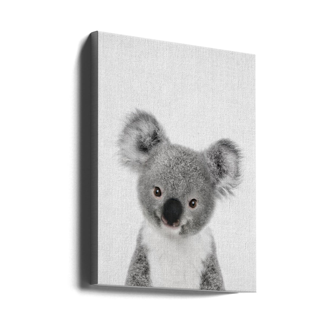 Peekaboo Baby Koala by Lola Peacock | Cute Animal Illustration, Large Canvas Wall Art Print | Artsy Earth