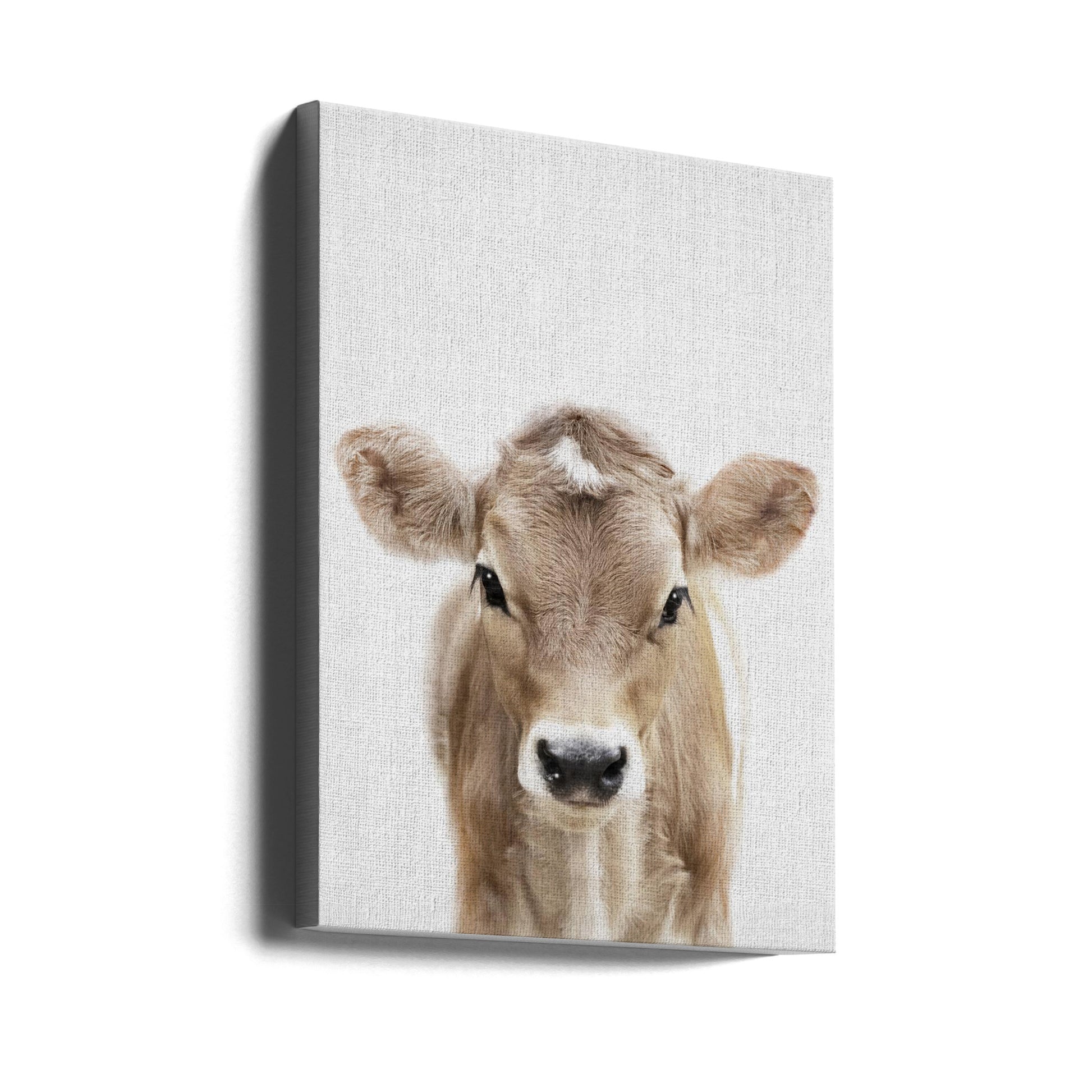 Peekaboo Baby Cow by Lola Peacock | Cute Farm Animal, Large Canvas Wall Art Print | Artsy Earth