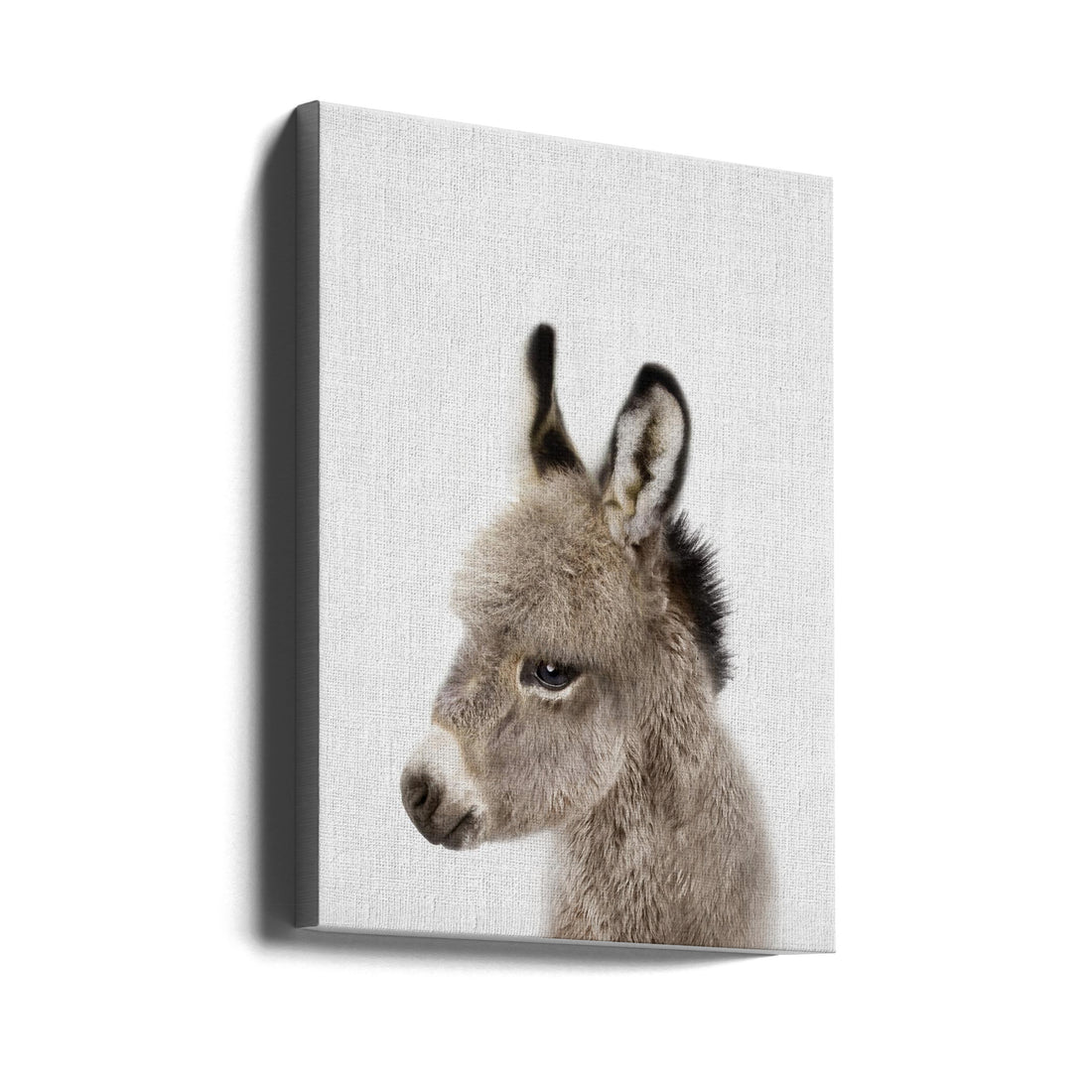 Peekaboo Baby Donkey by Lola Peacock | Cute Animal Portrait, Large Canvas Wall Art Print | Artsy Earth