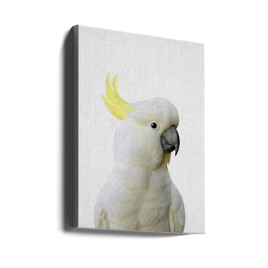 Peekaboo Cockatoo by Lola Peacock | Wild Bird Portrait, Large Canvas Wall Art Print | Artsy Earth