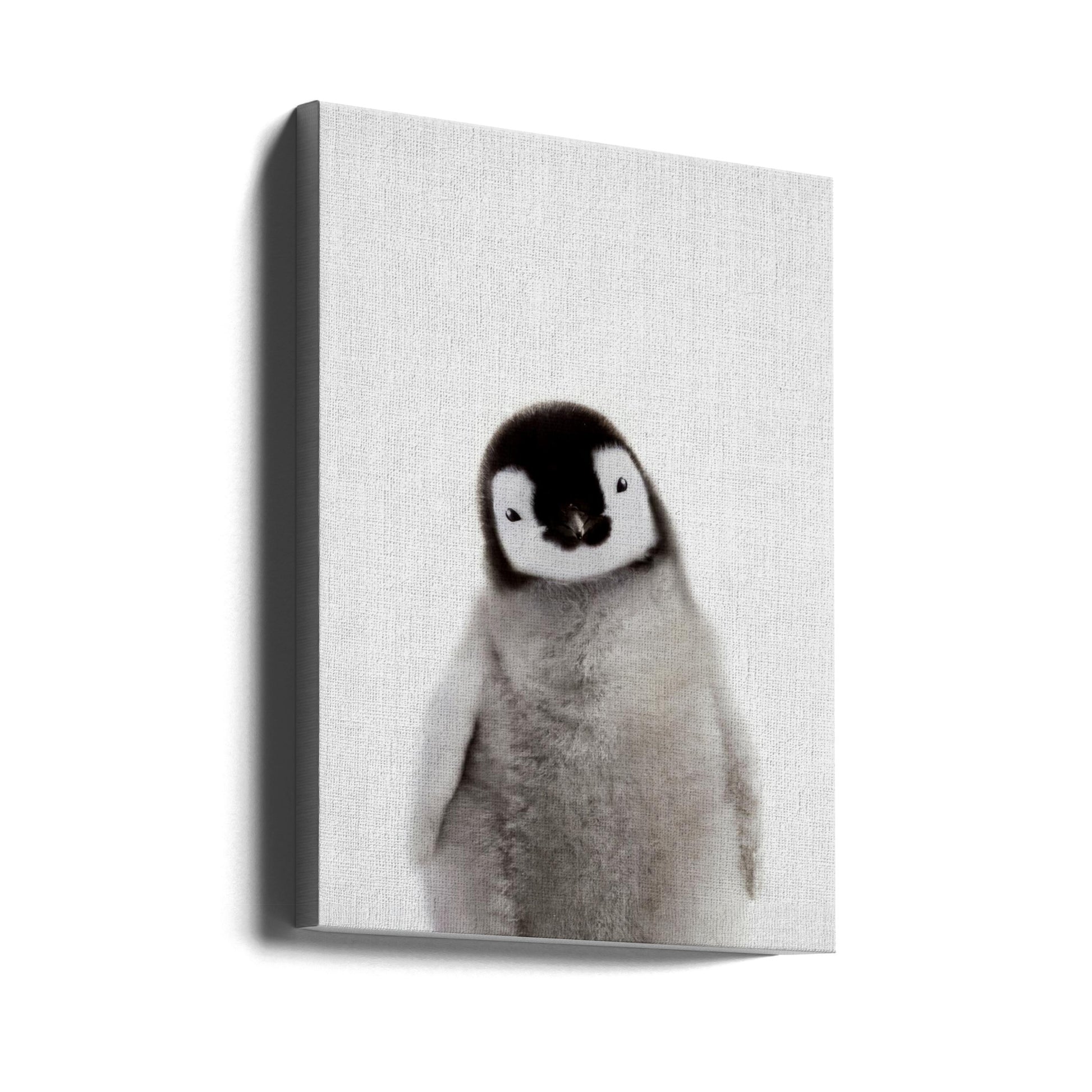 Peekaboo Baby Penguin by Lola Peacock | Wildlife Animal Portrait, Large Canvas Wall Art Print | Artsy Earth