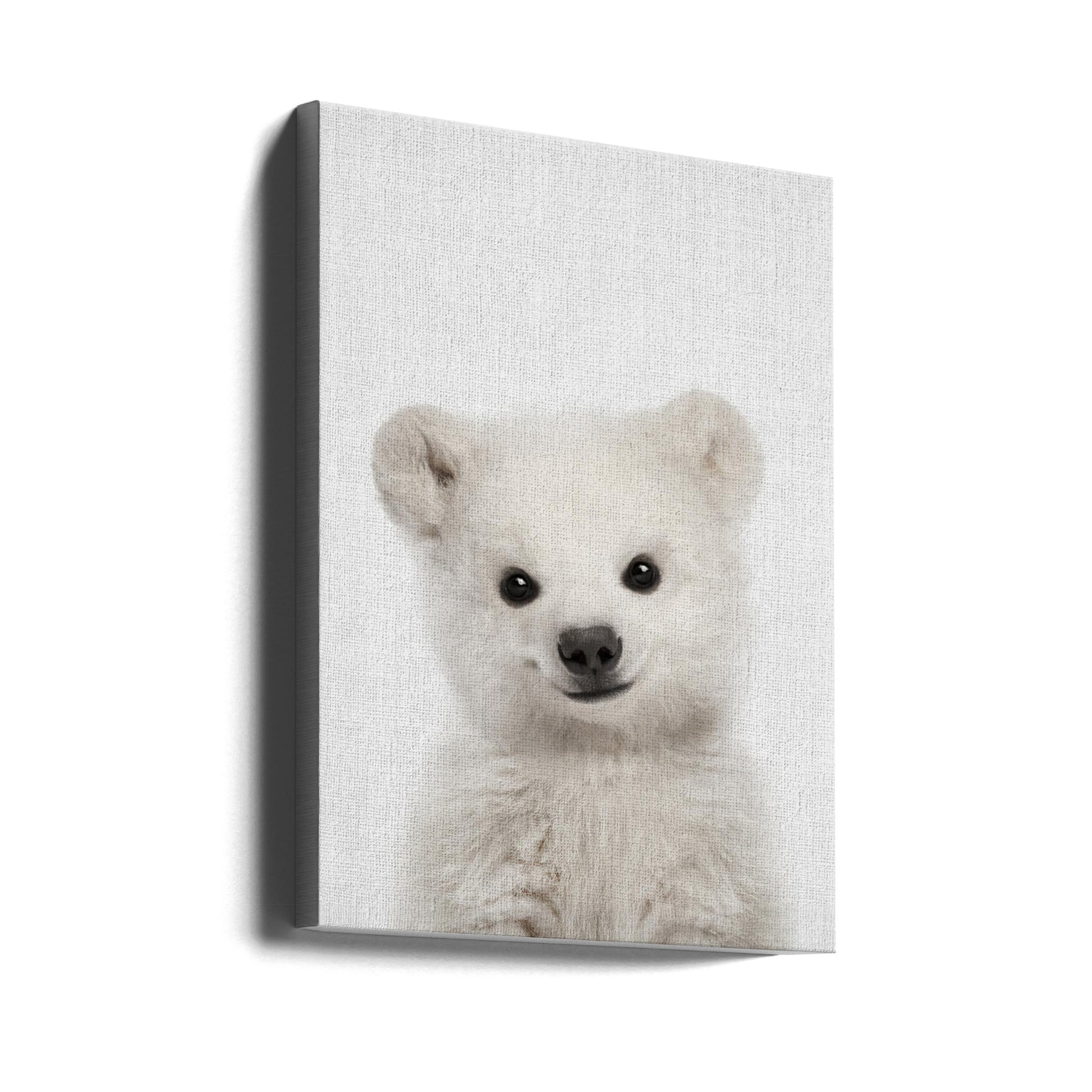 Peekaboo Baby Polar Bear by Lola Peacock | White Wildlife Nature, Large Canvas Wall Art Print | Artsy Earth