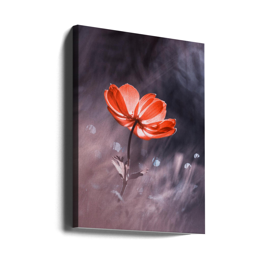 Dark Floral Macro by Fabien Bravin | Low Key Botanical, Large Canvas Wall Art Print | Artsy Earth