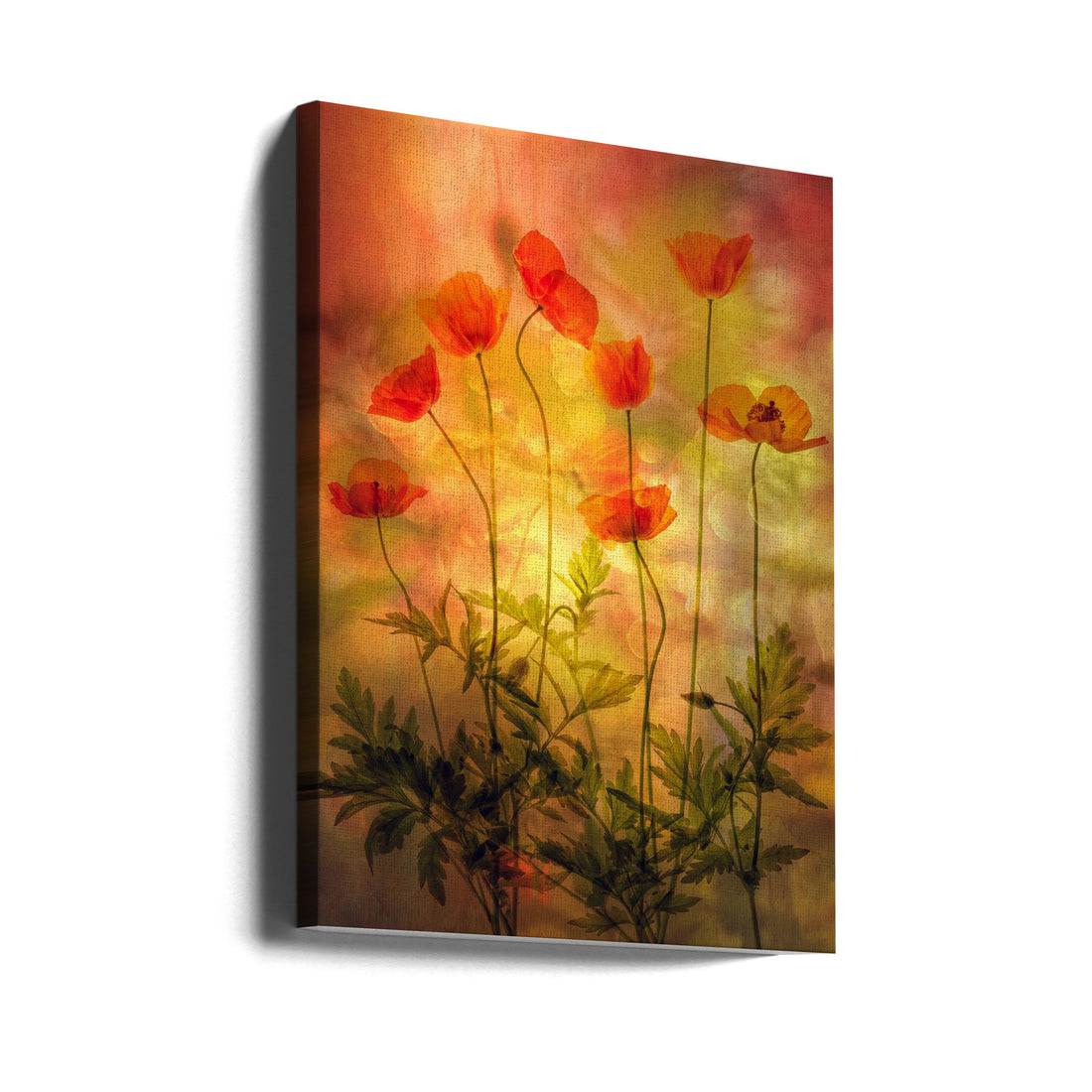 Fire Poppies by Hilda Van Der Lee | Abstract Floral Botanical, Large Canvas Wall Art Print | Artsy Earth