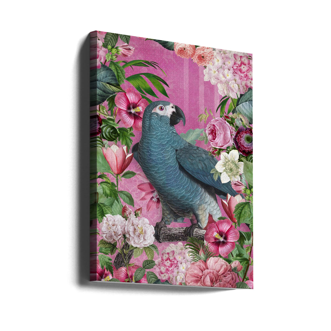 The Parrots Paradise Garden by Andrea Haase | Colorful Botanical Birds, Large Canvas Wall Art Print | Artsy Earth