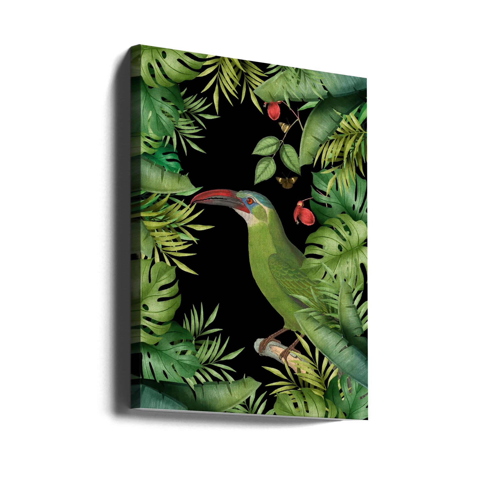 Jungle With Green Toucan by Andrea Haase | Tropical Wildlife Nature, Large Canvas Wall Art Print | Artsy Earth