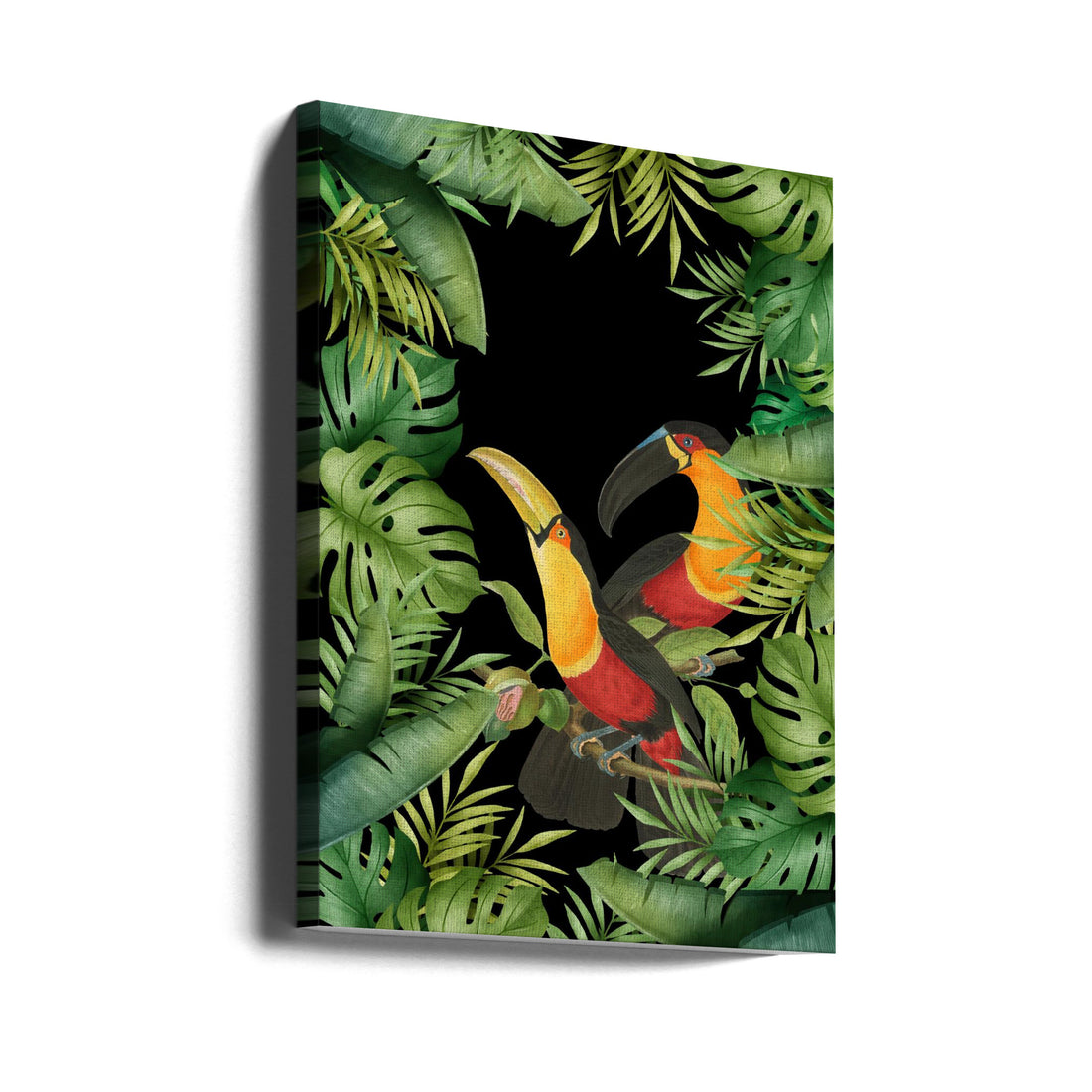 Jungle With Toucans by Andrea Haase | Tropical Wildlife Nature, Large Canvas Wall Art Print | Artsy Earth