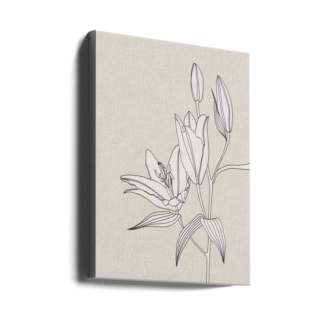 Line art lillies in beige by Rosana Laiz Blursbyai | Botanical Line Drawing, Large Canvas Wall Art Print | Artsy Earth